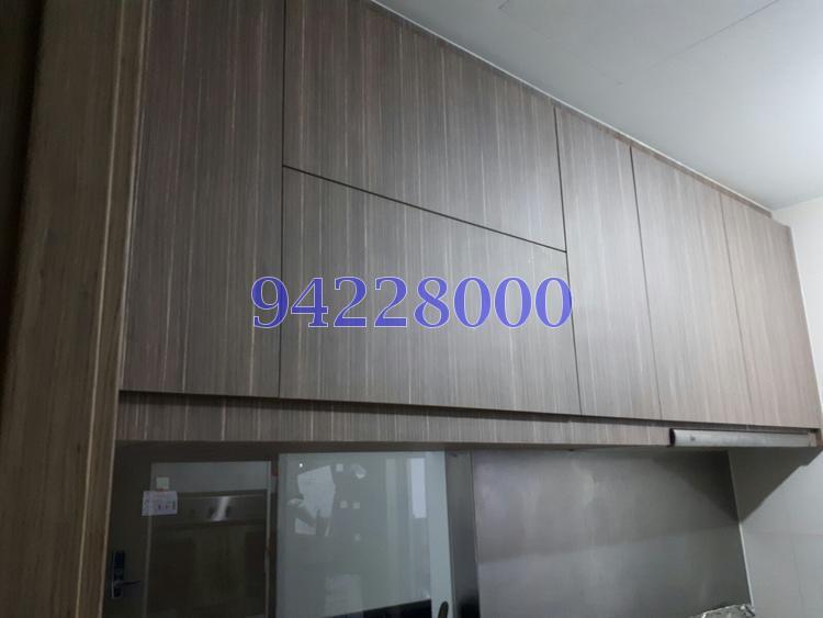 The Palette (D18), Condominium #156217402